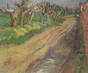 Vincent Van Gogh Pollard Willows (nn04) Germany oil painting reproduction